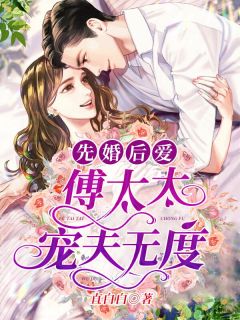 傅先生的第一宠妻