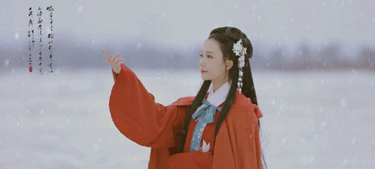 最新小毒妃小说推荐